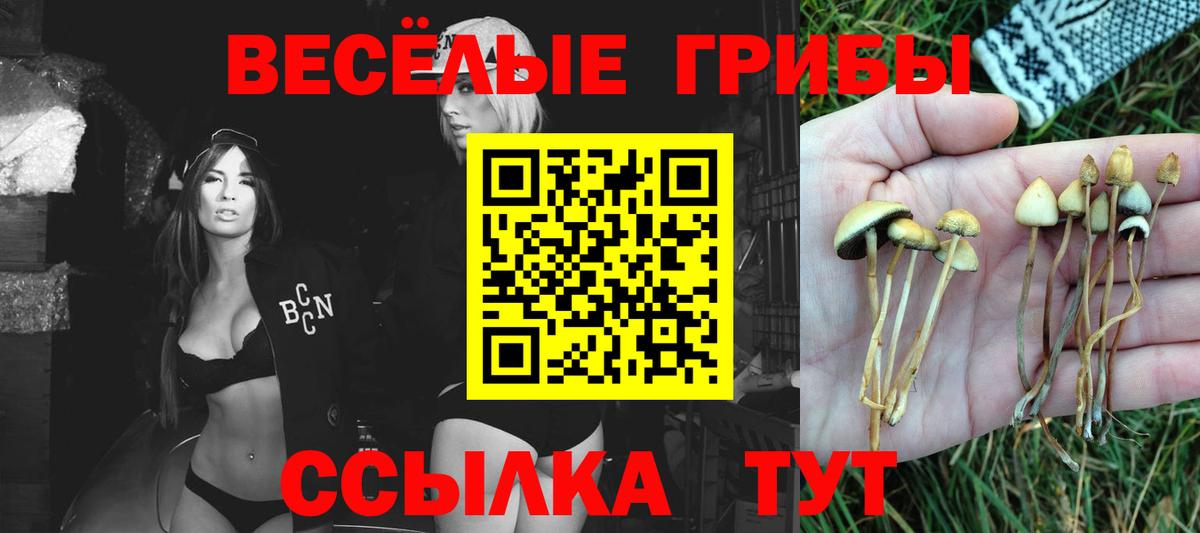 Псилоцибиновые грибы ЛСД  Вход с VPN  купить закладку  Азов 